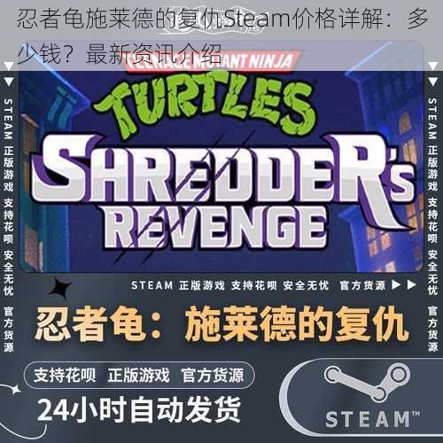 忍者龟施莱德的复仇Steam价格详解：多少钱？最新资讯介绍