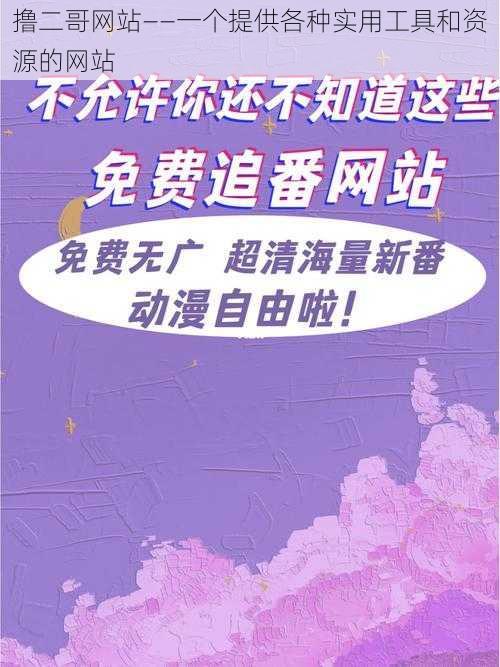 撸二哥网站——一个提供各种实用工具和资源的网站