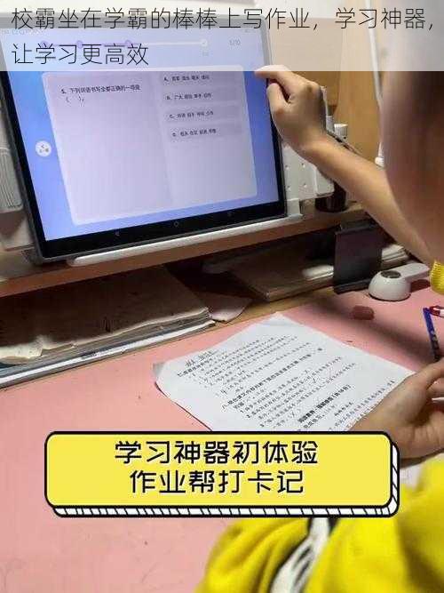 校霸坐在学霸的棒棒上写作业，学习神器，让学习更高效