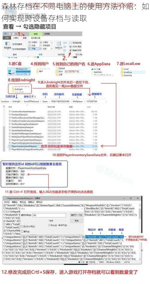 森林存档在不同电脑上的使用方法介绍：如何实现跨设备存档与读取