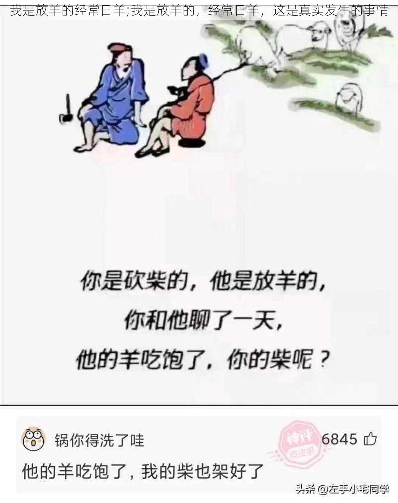 我是放羊的经常日羊;我是放羊的，经常日羊，这是真实发生的事情