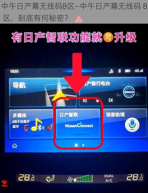 中午日产幕无线码8区—中午日产幕无线码 8 区，到底有何秘密？