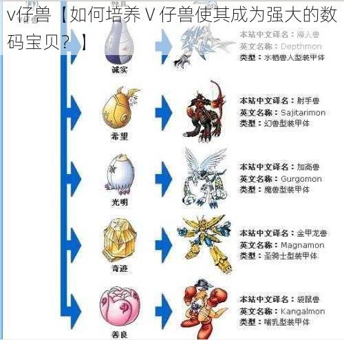 v仔兽【如何培养 V 仔兽使其成为强大的数码宝贝？】