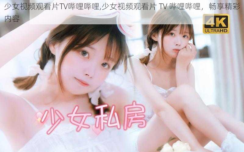 少女视频观看片TV哔哩哔哩,少女视频观看片 TV 哔哩哔哩，畅享精彩内容