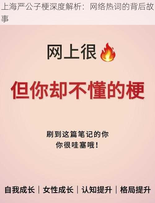 上海严公子梗深度解析：网络热词的背后故事