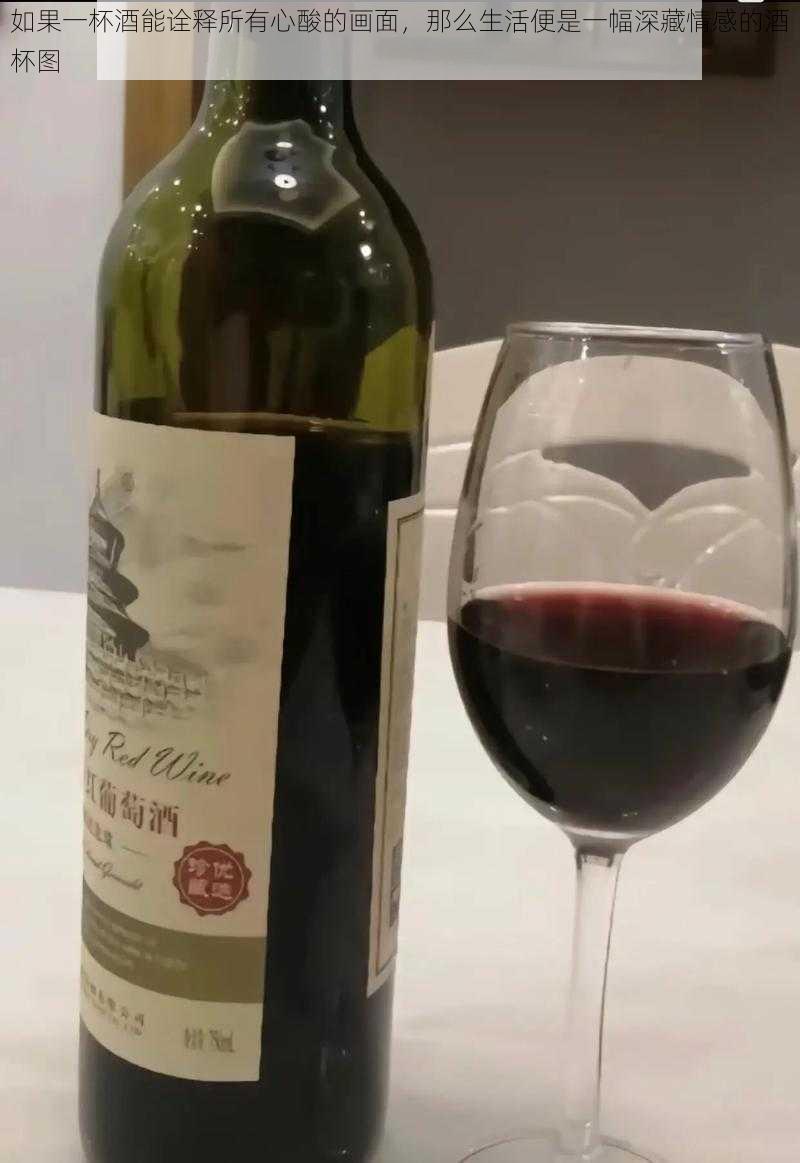 如果一杯酒能诠释所有心酸的画面，那么生活便是一幅深藏情感的酒杯图