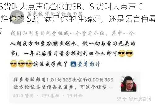 S货叫大点声C烂你的SB、S 货叫大点声 C 烂你的 SB：满足你的性癖好，还是语言侮辱？