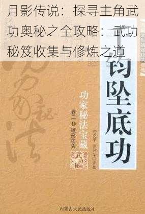 月影传说：探寻主角武功奥秘之全攻略：武功秘笈收集与修炼之道