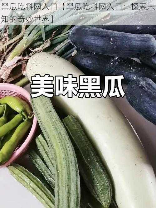 黑瓜吃料网入口【黑瓜吃料网入口：探索未知的奇妙世界】