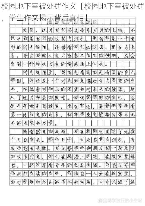 校园地下室被处罚作文【校园地下室被处罚，学生作文揭示背后真相】