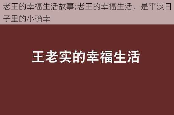 老王的幸福生活故事;老王的幸福生活，是平淡日子里的小确幸