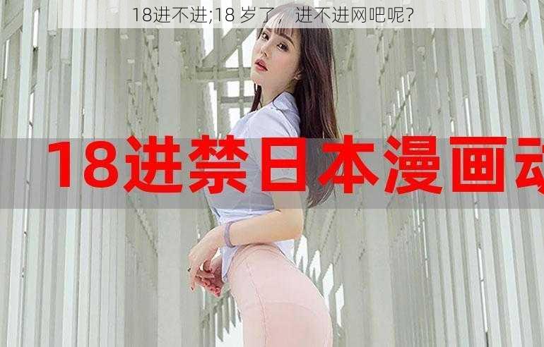 18进不进;18 岁了，进不进网吧呢？