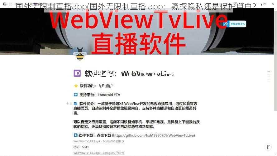 国外无限制直播app(国外无限制直播 app：窥探隐私还是保护自由？)