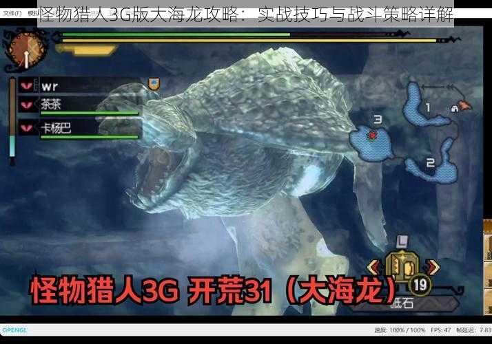 怪物猎人3G版大海龙攻略：实战技巧与战斗策略详解