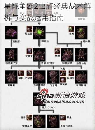 星际争霸2虫族经典战术解析与实战运用指南