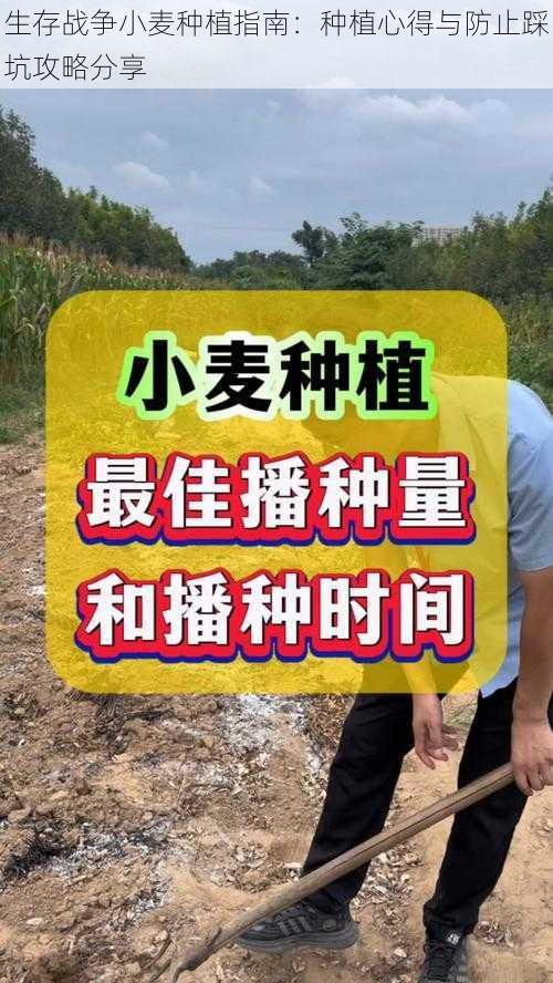 生存战争小麦种植指南：种植心得与防止踩坑攻略分享