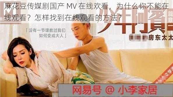 麻花豆传媒剧国产 MV 在线欢看，为什么你不能在线观看？怎样找到在线观看的方法？