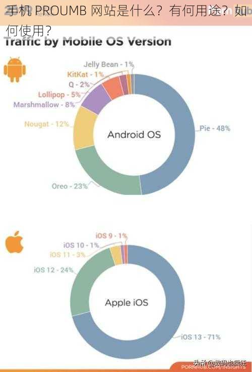 手机 PROUMB 网站是什么？有何用途？如何使用？