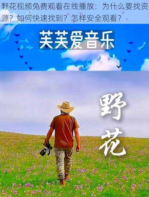 野花视频免费观看在线播放：为什么要找资源？如何快速找到？怎样安全观看？