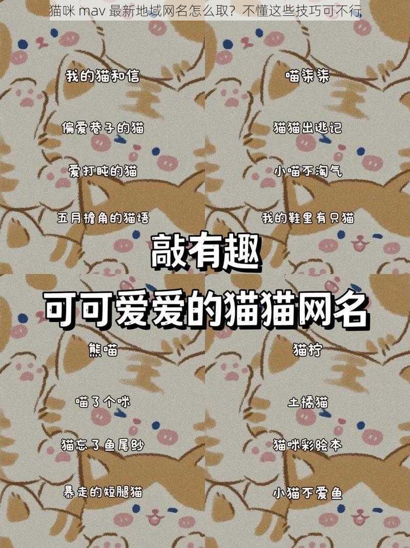 猫咪 mav 最新地域网名怎么取？不懂这些技巧可不行