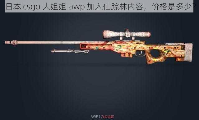 日本 csgo 大姐姐 awp 加入仙踪林内容，价格是多少？