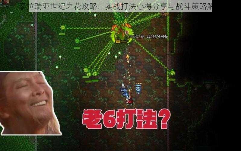 泰拉瑞亚世纪之花攻略：实战打法心得分享与战斗策略解析