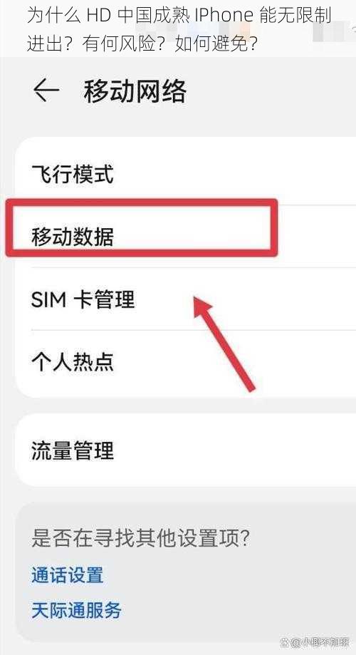为什么 HD 中国成熟 IPhone 能无限制进出？有何风险？如何避免？