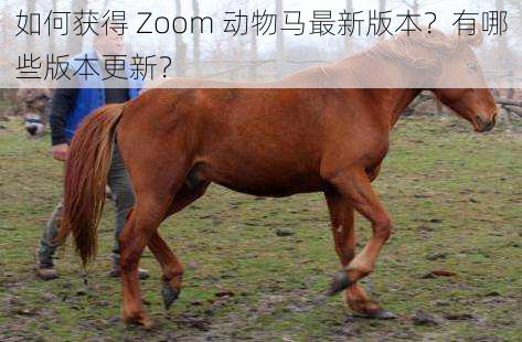 如何获得 Zoom 动物马最新版本？有哪些版本更新？