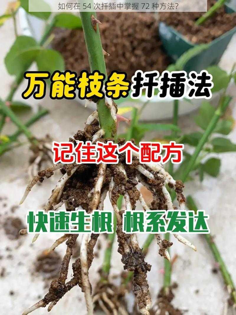 如何在 54 次扦插中掌握 72 种方法？