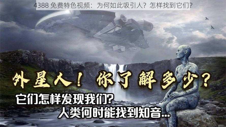 4388 免费特色视频：为何如此吸引人？怎样找到它们？