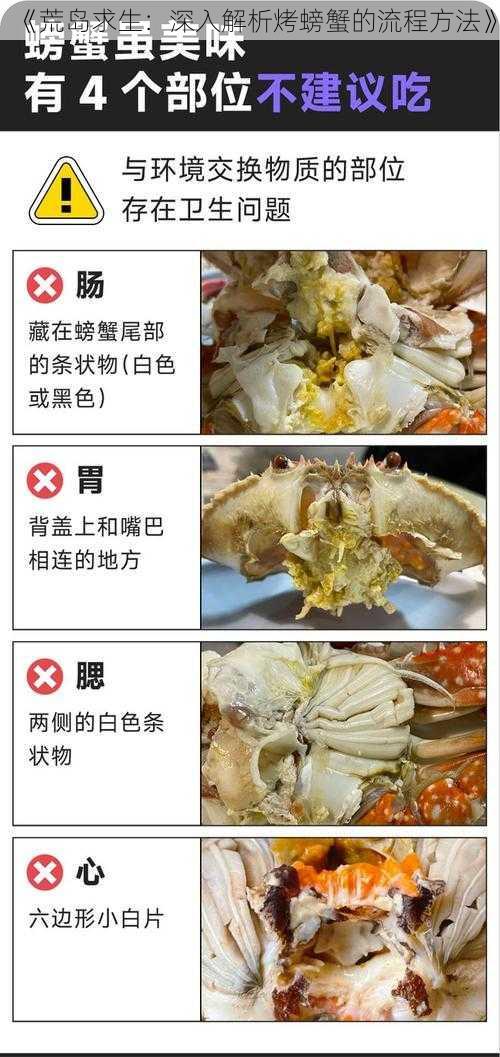 《荒岛求生：深入解析烤螃蟹的流程方法》