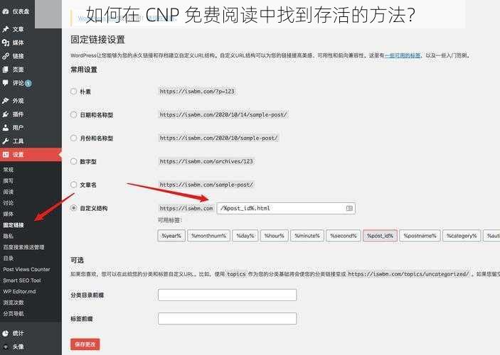 如何在 CNP 免费阅读中找到存活的方法？