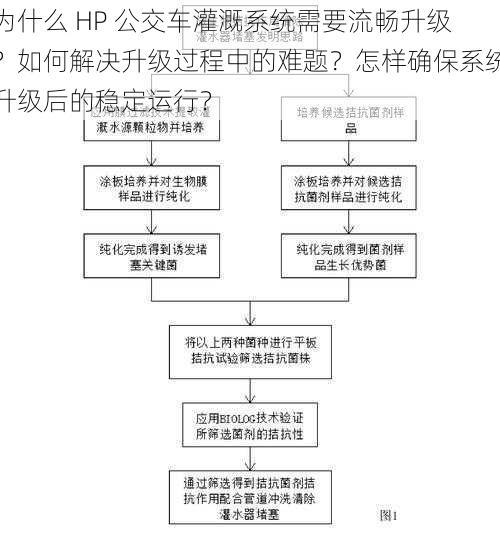 为什么 HP 公交车灌溉系统需要流畅升级？如何解决升级过程中的难题？怎样确保系统升级后的稳定运行？