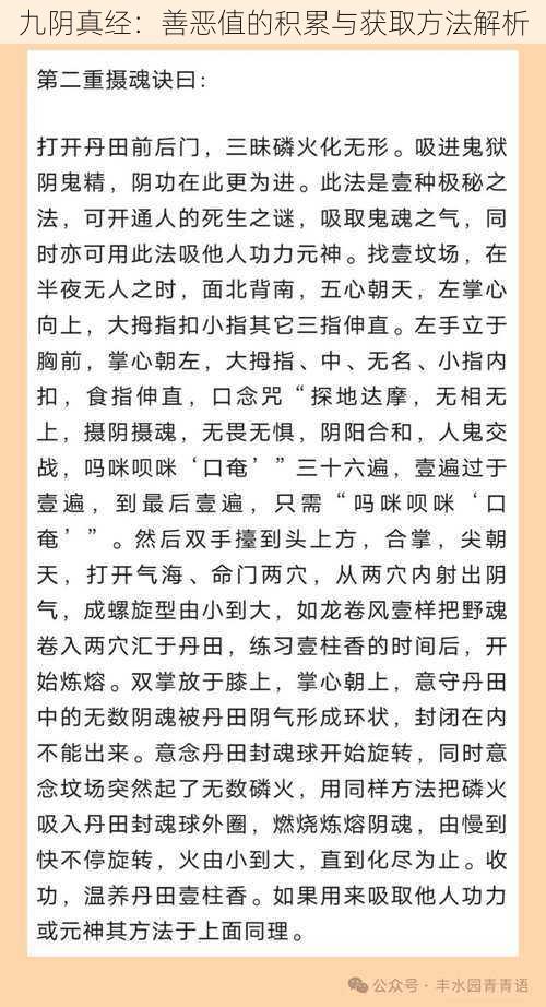 九阴真经：善恶值的积累与获取方法解析