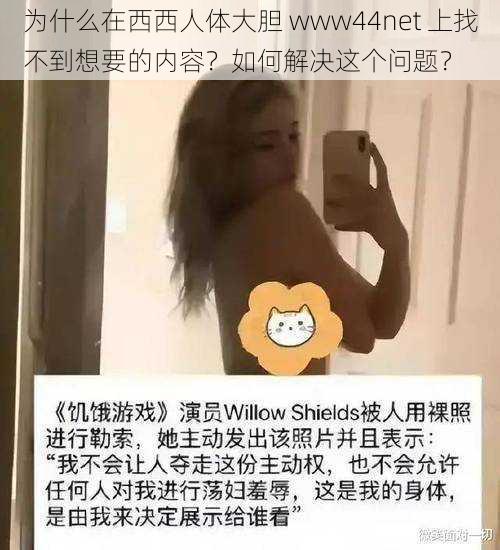 为什么在西西人体大胆 www44net 上找不到想要的内容？如何解决这个问题？