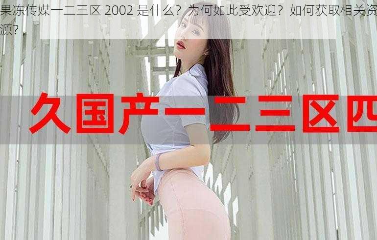 果冻传媒一二三区 2002 是什么？为何如此受欢迎？如何获取相关资源？