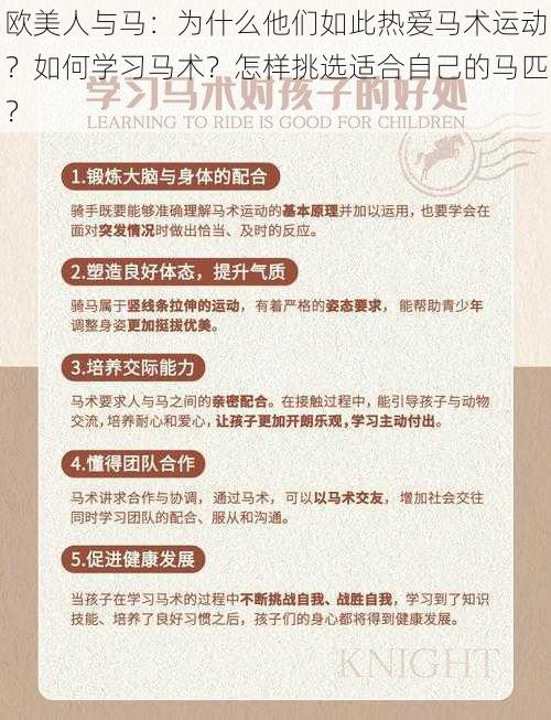 欧美人与马：为什么他们如此热爱马术运动？如何学习马术？怎样挑选适合自己的马匹？