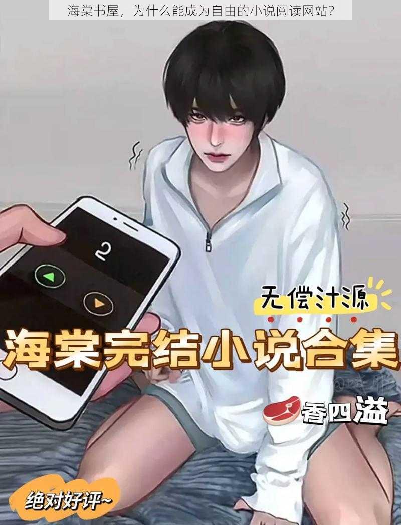 海棠书屋，为什么能成为自由的小说阅读网站？