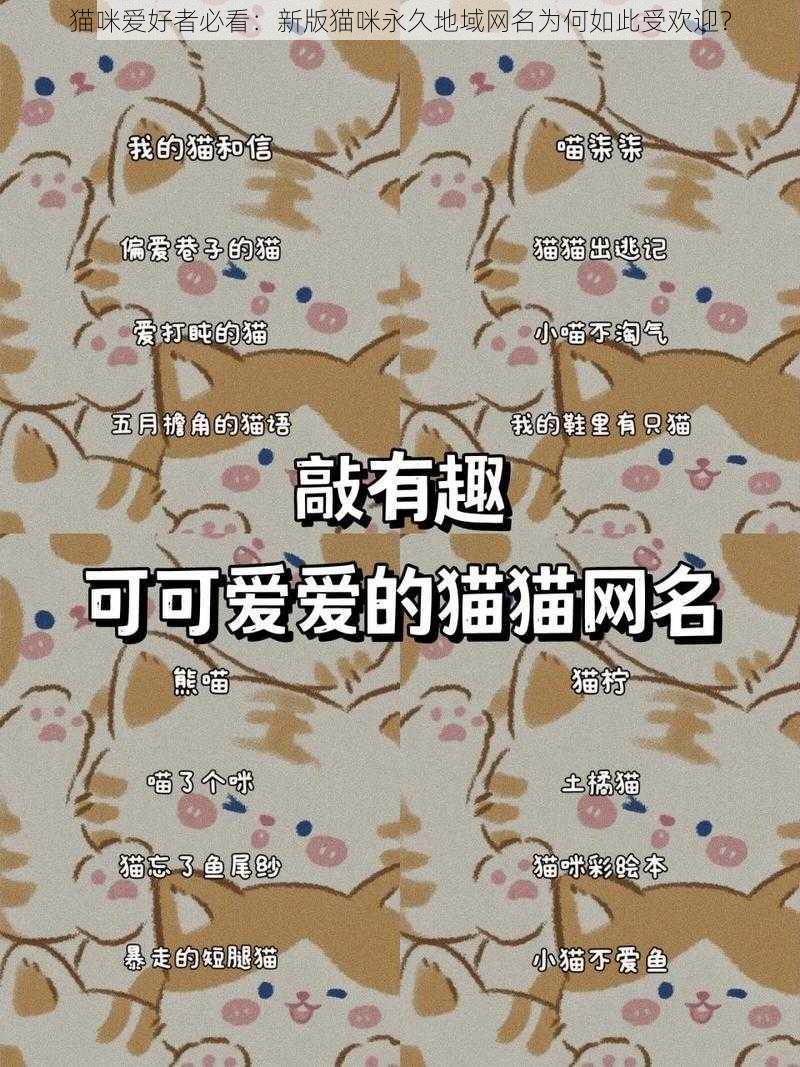 猫咪爱好者必看：新版猫咪永久地域网名为何如此受欢迎？