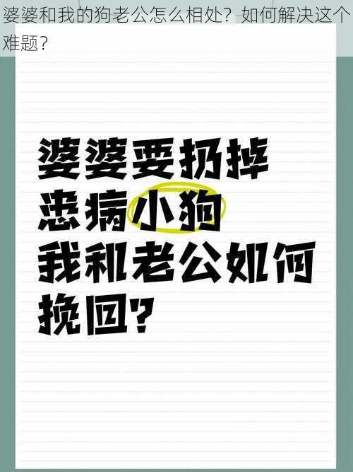 婆婆和我的狗老公怎么相处？如何解决这个难题？