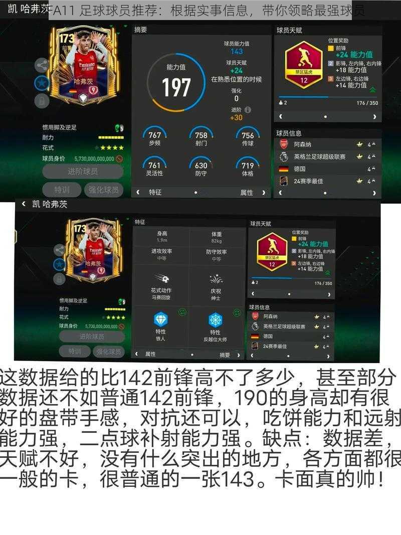 FIFA11 足球球员推荐：根据实事信息，带你领略最强球员