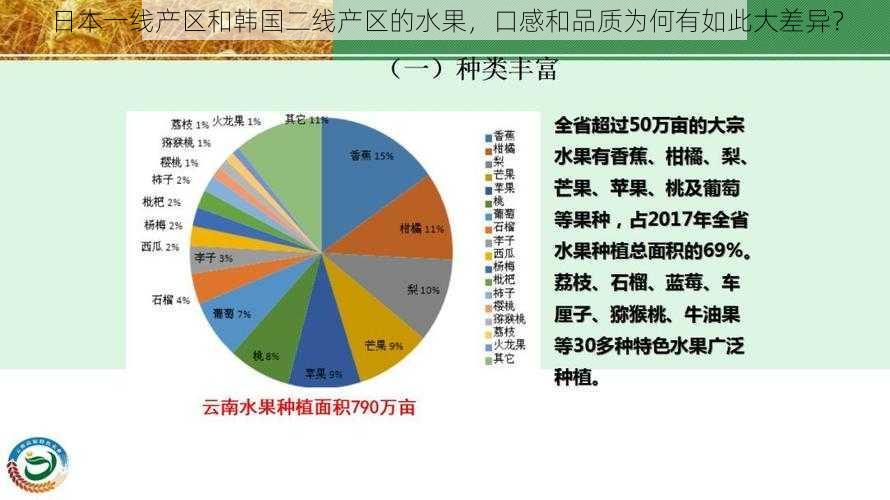 日本一线产区和韩国二线产区的水果，口感和品质为何有如此大差异？