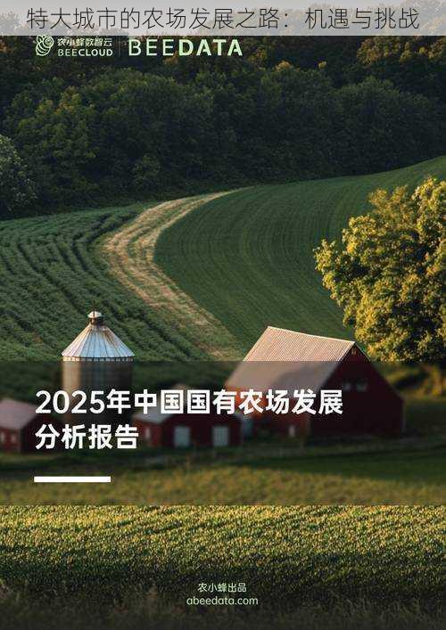 特大城市的农场发展之路：机遇与挑战