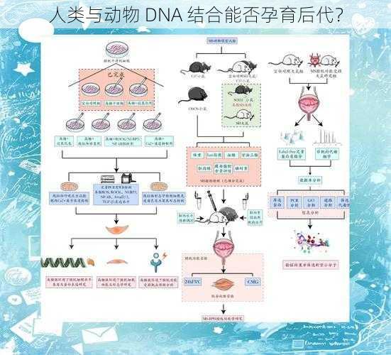 人类与动物 DNA 结合能否孕育后代？