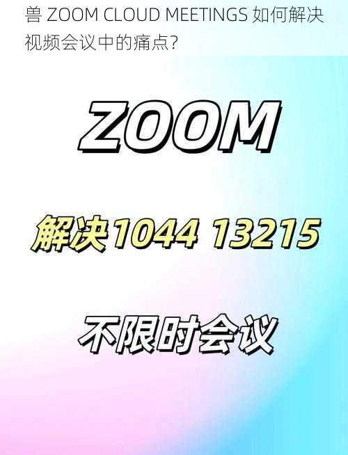 兽 ZOOM CLOUD MEETINGS 如何解决视频会议中的痛点？