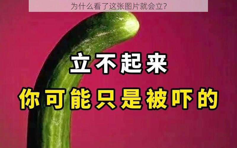 为什么看了这张图片就会立？