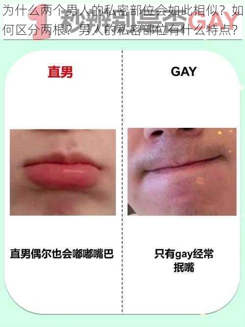 为什么两个男人的私密部位会如此相似？如何区分两根？男人的私密部位有什么特点？