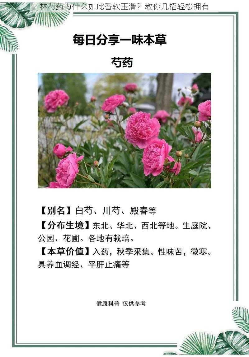 林芍药为什么如此香软玉滑？教你几招轻松拥有