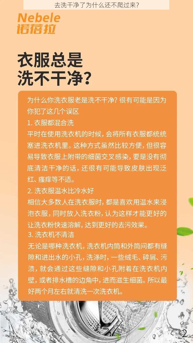 去洗干净了为什么还不爬过来？