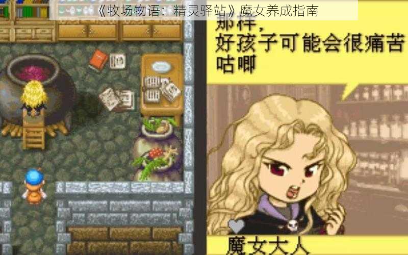 《牧场物语：精灵驿站》魔女养成指南